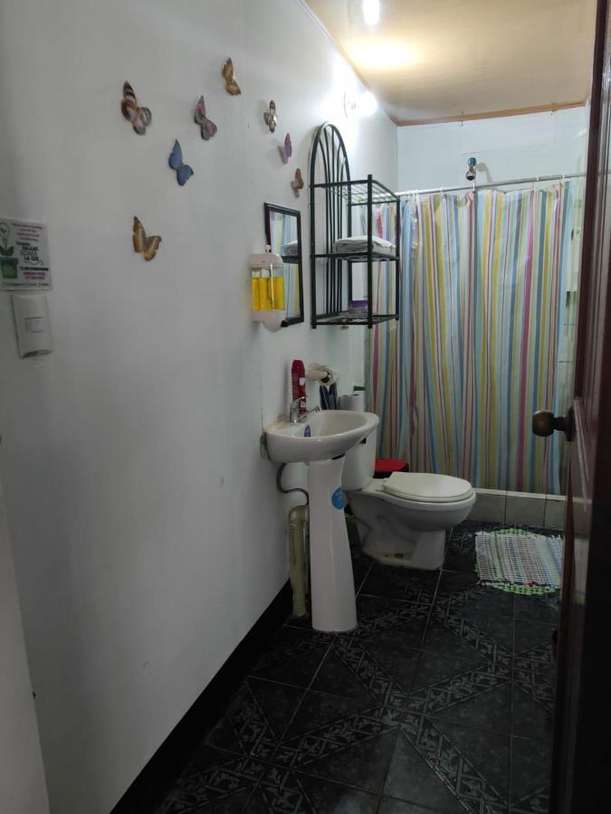 Tortuguero Casa De Playa Green House Apartman Kültér fotó