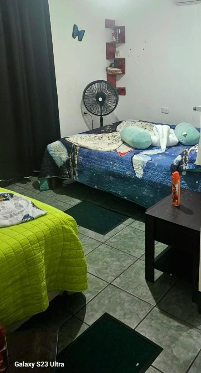 Tortuguero Casa De Playa Green House Apartman Kültér fotó