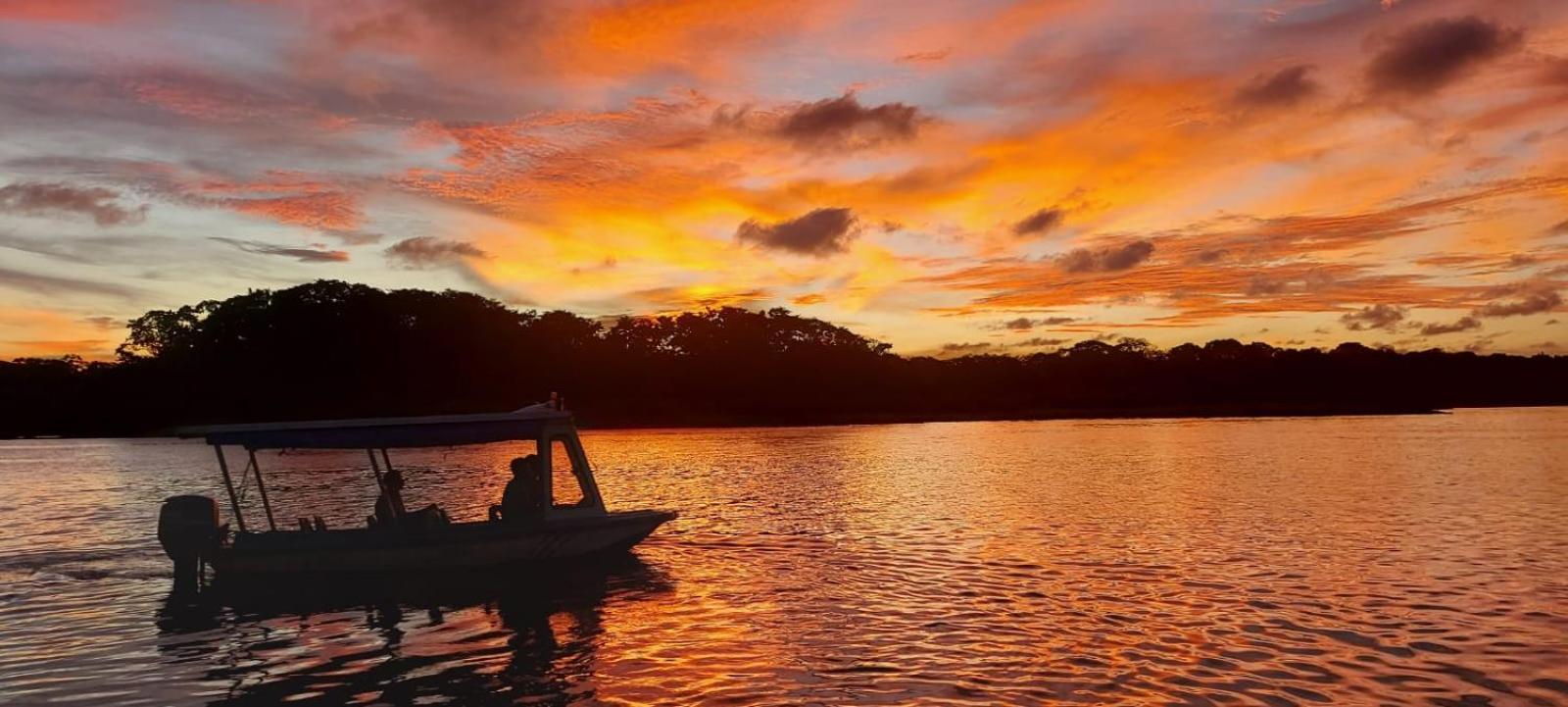 Tortuguero Casa De Playa Green House Apartman Kültér fotó